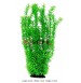 Glossostigma Elatinoides Green Aquarium Plant Large